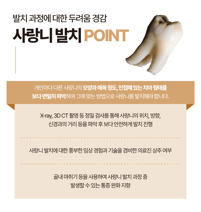 경산치과 사랑니 발치를 고민한다면